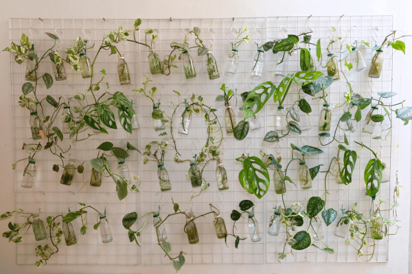 DIY: Como Criar uma Horta Vertical Sustentável Usando Materiais Reciclados 