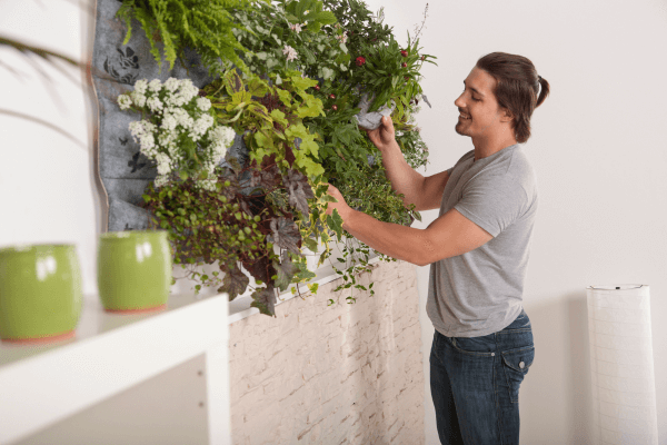 Horta Vertical para Iniciantes: Passo a Passo para Cultivar em Casa  