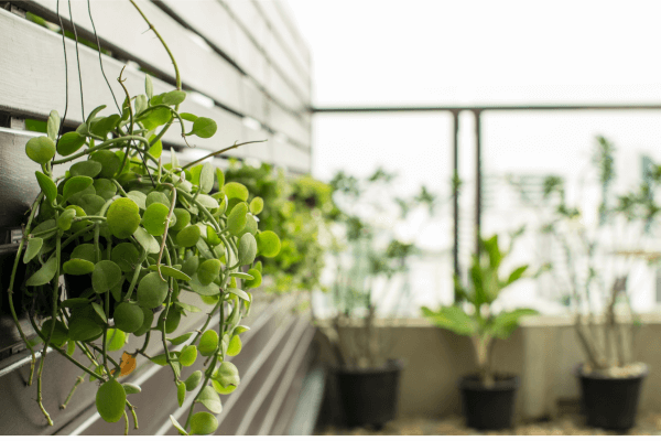 Como Integrar Sustentabilidade e Estilo com Jardins Verticais na Decoração Urbana