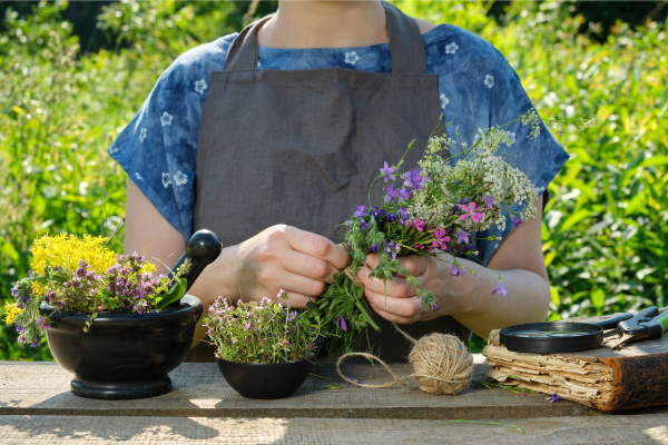  Jardinagem urbana sustentável: Como criar um canteiro de plantas medicinais em pequenos espaços