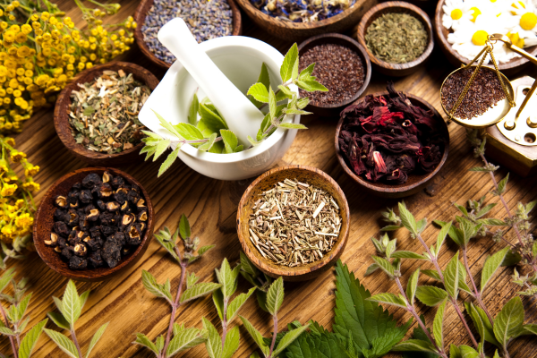 7 Ervas Medicinais Fáceis de Cultivar para Iniciantes na Jardinagem Urbana  