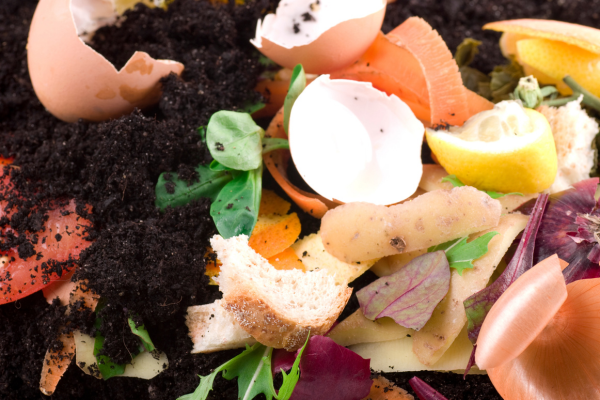 Como Fazer Compostagem em Casa e Nutrir Suas Plantas Medicinais Sustentavelmente  