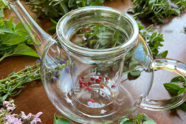 Da Semente ao Chá: Plantas Medicinais Cultivadas em Hortas Urbanas  