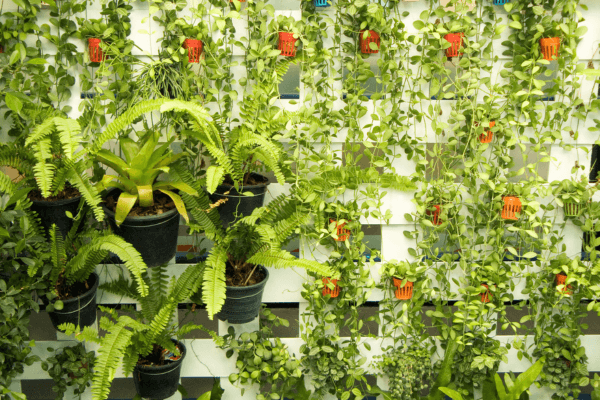 Estruturas modulares para cultivo vertical: praticidade e sustentabilidade