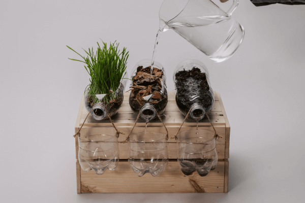 Transforme latas e garrafas em mini hortas medicinais sustentáveis